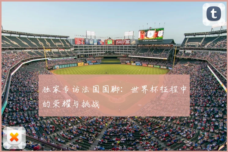 独家专访法国国脚:世界杯征程中的荣耀与挑战