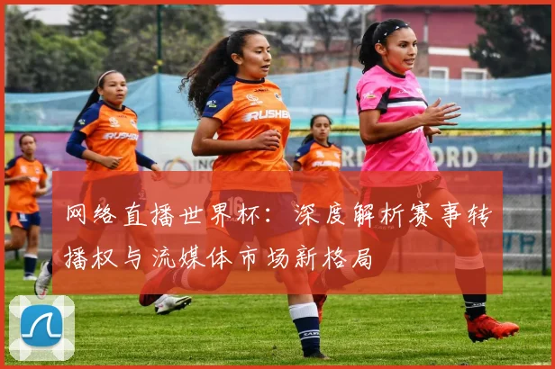 网络直播世界杯：深度解析赛事转播权与流媒体市场新格局