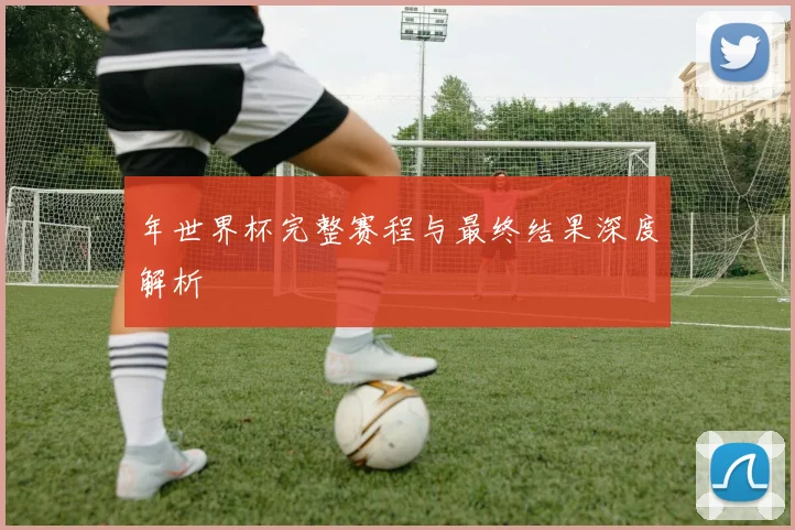 年世界杯完整赛程与最终结果深度解析