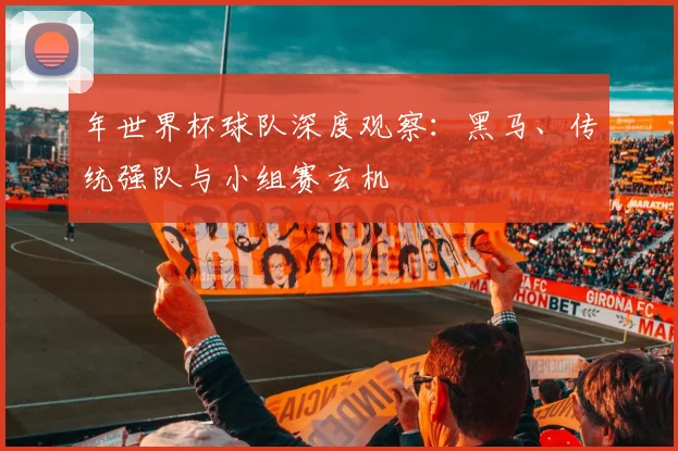 年世界杯球队深度观察：黑马、传统强队与小组赛玄机