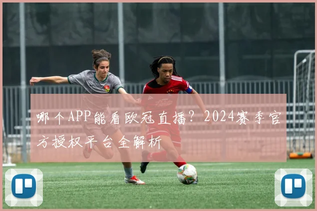 哪个APP能看欧冠直播？2024赛季官方授权平台全解析