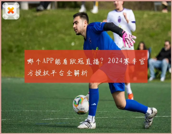 哪个APP能看欧冠直播？2024赛季官方授权平台全解析