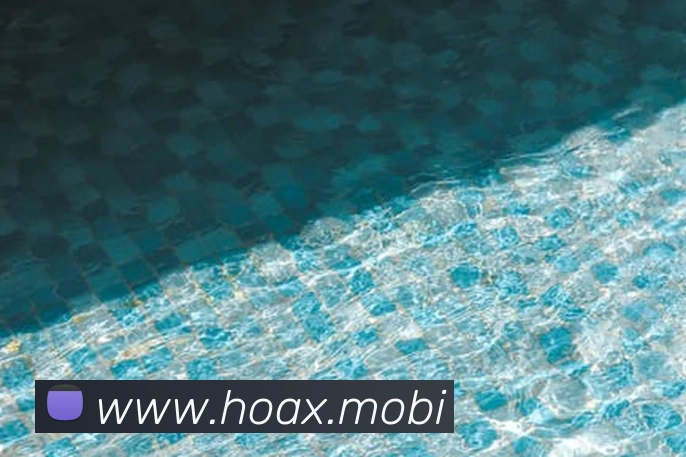 开云app登录入口下载平台生态图